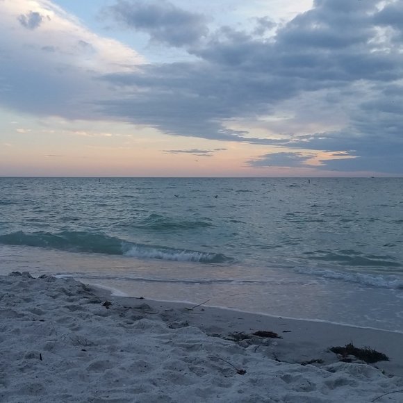 Meet your Posher, Amy - Picture 1 of 1